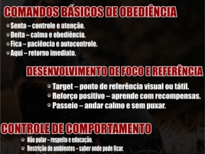 Foto de Castro Treinador - Centro de Treinamento de Cães em Bauru, SP por Solutudo