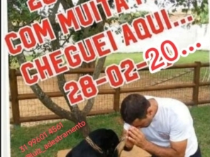 Foto de Luiz Adestramento de Cães em Ribeirão das Neves, MG por Solutudo