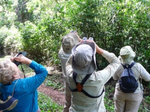 Foto de Iguazu Explorer em Foz do Iguaçu, PR por Solutudo