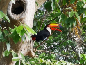 Foto de Iguazu Explorer em Foz do Iguaçu, PR por Solutudo