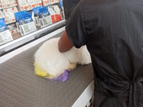 Foto galeria da empresa