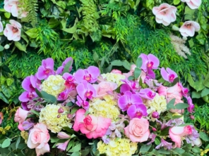 Foto de Flor de Lis - Floricultura e Presentes em Santa Cruz do Rio Pardo, SP por Solutudo