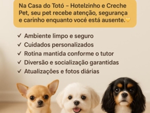 Foto de Casa do Totó Hotelzinho e Creche Pet em Botucatu, SP por Solutudo