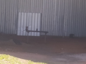Foto de Service box - Prestação de Serviço e Pequenos Fretes em Botucatu, SP por Solutudo