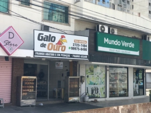 Foto galeria da empresa