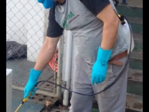 Foto de DM Dedetizadora em Ferraz de Vasconcelos | Daniel Marcheseli em Ferraz de Vasconcelos, SP por Solutudo
