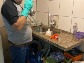 Foto de DM Dedetizadora em Ferraz de Vasconcelos | Daniel Marcheseli em Ferraz de Vasconcelos, SP por Solutudo