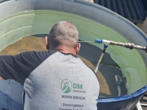 Foto de DM Dedetizadora em Ferraz de Vasconcelos | Daniel Marcheseli em Ferraz de Vasconcelos, SP por Solutudo