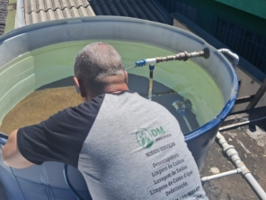 Foto de DM Dedetizadora em Ferraz de Vasconcelos | Daniel Marcheseli em Ferraz de Vasconcelos, SP por Solutudo