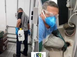 Foto de DM Dedetizadora em São Paulo | Daniel Marcheseli em São Paulo, SP por Solutudo