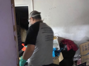 Foto de DM Dedetizadora em São Paulo | Daniel Marcheseli em São Paulo, SP por Solutudo
