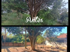 Foto de Will Garden em Botucatu, SP por Solutudo