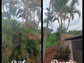 Foto de Will Garden em Botucatu, SP por Solutudo