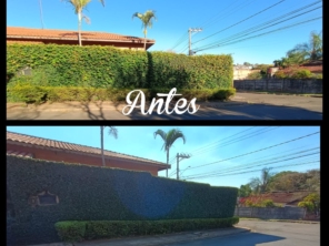 Foto de Will Garden em Botucatu, SP por Solutudo