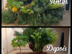 Foto de Will Garden em Botucatu, SP por Solutudo
