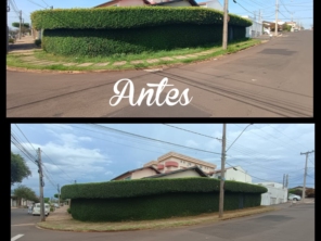 Foto galeria da empresa