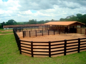Foto galeria da empresa