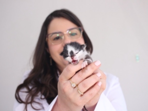 Foto de Dra Luanda veterinária domiciliar em Botucatu, SP por Solutudo