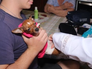 Foto de Dra Luanda veterinária domiciliar em Botucatu, SP por Solutudo