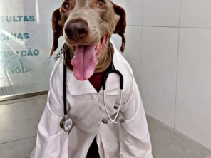Foto galeria da empresa
