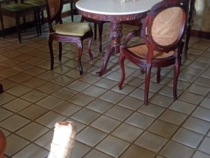 Foto de Tomé Jorge Empalhador de Cadeiras em Salvador, BA por Solutudo