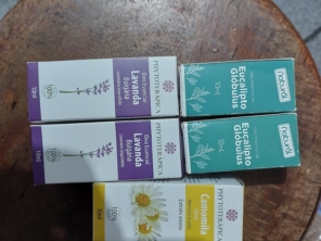 Foto galeria da empresa