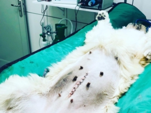 Foto galeria da empresa