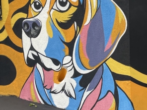 Foto de Conveniência Pet em Santa Cruz do Rio Pardo, SP por Solutudo