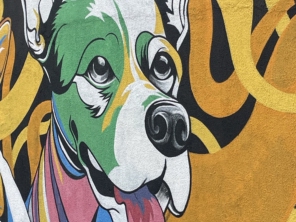 Foto de Conveniência Pet em Santa Cruz do Rio Pardo, SP por Solutudo
