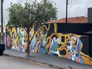 Foto de Conveniência Pet em Santa Cruz do Rio Pardo, SP por Solutudo