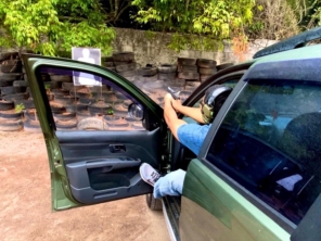 Foto de Instrutor de Tiro Brunhara em Guarapari, ES por Solutudo