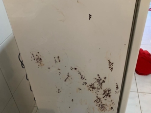 Foto de D/F Aplicações Premium em Marília, SP por Solutudo