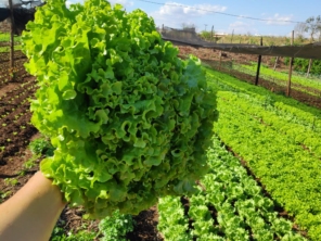 Foto galeria da empresa