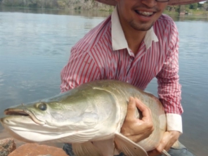Foto de Só Alegria - Caça e Pesca em Sinop, MT por Solutudo