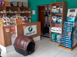 Foto galeria da empresa