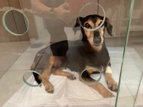 Foto galeria da empresa