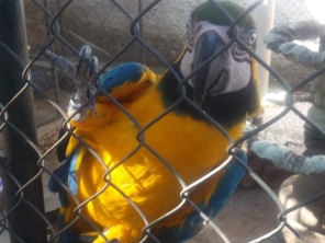Foto de Agrocato Comércio De Rações Ltda em Salto, SP por Solutudo