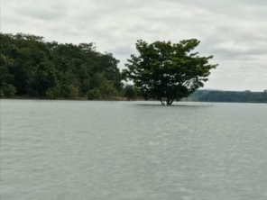 Foto de Aeroporto Morada Nova de Minas em Morada Nova de Minas, MG por Solutudo