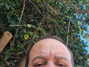Foto de Taxi Marinho em São Miguel do Araguaia, GO por Solutudo