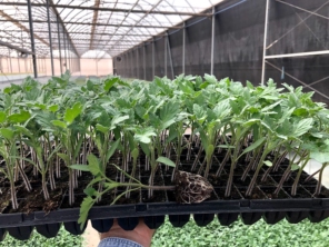 Foto de HIDROCERES COMERCIAL AGRÍCOLA LTDA em Santa Cruz do Rio Pardo, SP por Solutudo