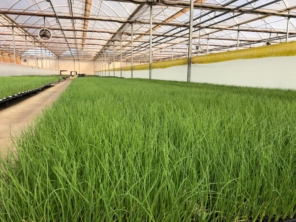 Foto de HIDROCERES COMERCIAL AGRÍCOLA LTDA em Santa Cruz do Rio Pardo, SP por Solutudo