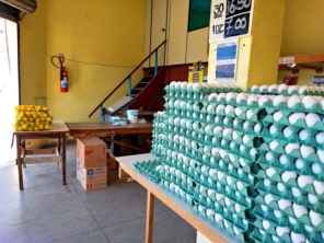 Foto de Comércio de Ovos Rice em Franco da Rocha, SP por Solutudo