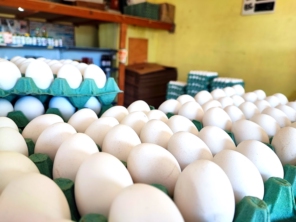 Foto de Comércio de Ovos Rice em Franco da Rocha, SP por Solutudo
