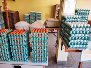 Foto de Comércio de Ovos Rice em Franco da Rocha, SP por Solutudo