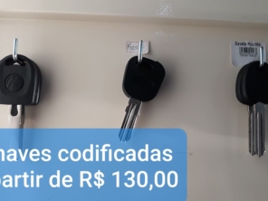 Foto de Check UP Serviços Automotivos em Teutônia, RS por Solutudo