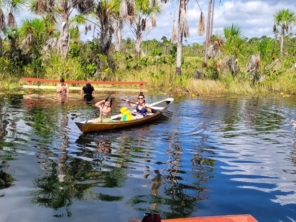 Foto de Amazon Van em Macapá, AP por Solutudo