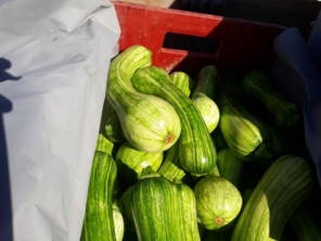 Foto de S.S. Comércio de Frutas em Itápolis, SP por Solutudo