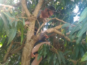 Foto de Rancho dos Ramires em Pederneiras, SP por Solutudo