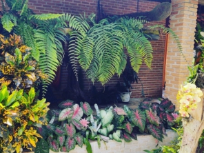 Foto galeria da empresa