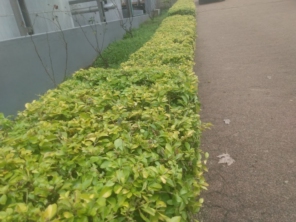 Foto de Renovalar em Santana do Livramento, RS por Solutudo